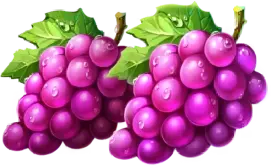 Grapes fruit symbol