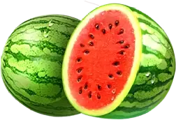 Watermelon fruit symbol
